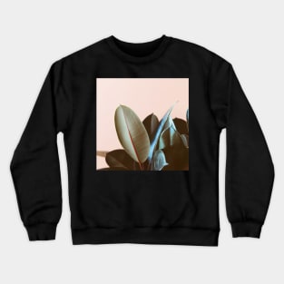 Ficus Elastica #1 Crewneck Sweatshirt